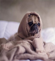 呼和浩特有这样的手机号码，留不住钱，你中枪了吗？