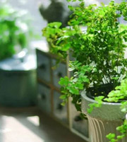 呼和浩特专属于你的开运指南，助你鸿运当头福满身！