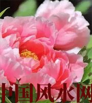 呼和浩特预示你财运上升，姻缘可成的梦境，快来看看吧！