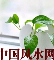 呼和浩特家中摆放六种吉祥物，会打开您的财运大门！