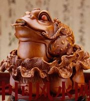 呼和浩特解读金蟾最合适的位置，这样摆放更招财！
