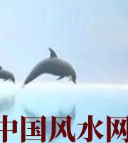 呼和浩特做梦梦到这些，是要富裕的征兆！