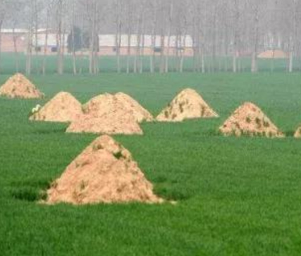 呼和浩特阴宅风水：形峦三十六绝